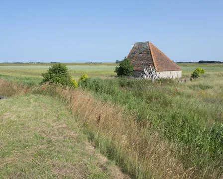 Typical barn in fields on dutch island of texel in summer under blue sky Stock Photos