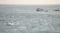 Typical boats parade in Fuerteventura sea (Canary Islands) - timelapse HD Footage