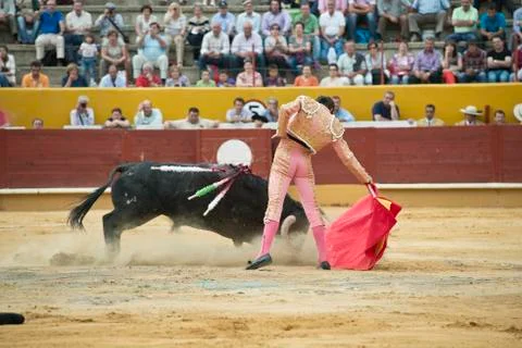 Typical bullfight. Foto stock