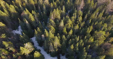 Typical Canadian Spring 10 Stock Footage 267726736