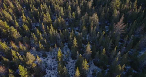 Typical Canadian Spring 12 Stock Footage 267730477