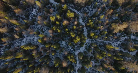 Typical Canadian Spring 13 Video stock 267728356