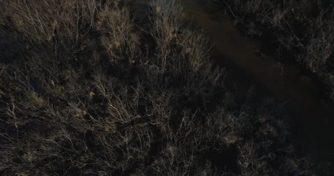 Typical Canadian Spring 5 Video stock 267716844