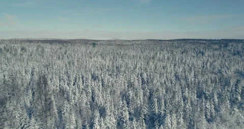 Typical Canadian Winter 12 Stock Footage 258690629