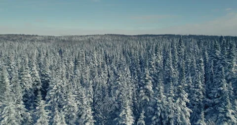 Typical Canadian Winter 13 Stock Footage 258683023