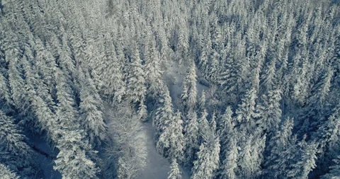 Typical Canadian Winter 18 Video stock 258684236