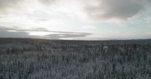 Typical Canadian Winter 22 Video stock 259315817