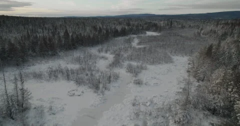 Typical Canadian Winter 24 Stock Footage 259317428