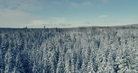 Typical Canadian Winter 3 Video stock 258689974