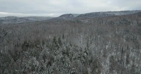 Typical Canadian Winter 39 Stock Footage 260423515