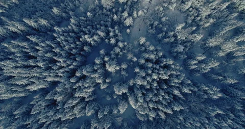 Typical Canadian Winter 4 Stock Footage 258686690
