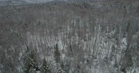 Typical Canadian Winter 40 Stock Footage 260424054