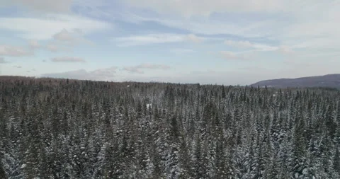 Typical Canadian Winter 44 Video stock 263051072