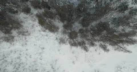 Typical Canadian Winter 47 Video stock 263052262