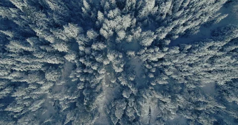 Typical Canadian Winter 5 Stock Footage 258689352