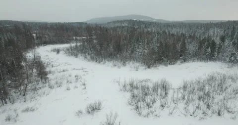 Typical Canadian Winter 52 Stock Footage 263066174