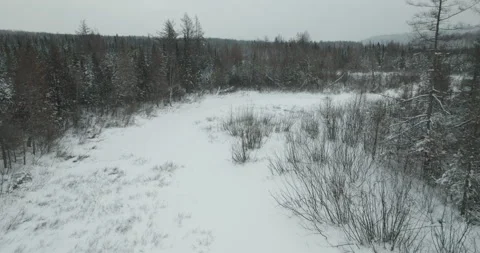 Typical Canadian Winter 53 Stock Footage 263069249