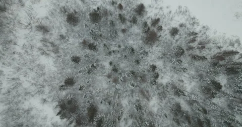 Typical Canadian Winter 57 Video stock 263069266