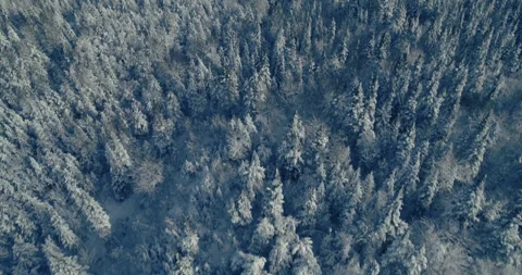 Typical Canadian Winter 6 Stock Footage 258667995