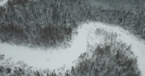 Typical Canadian Winter 60 Video stock 263072733