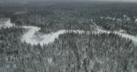 Typical Canadian Winter 62 Video stock 263071250