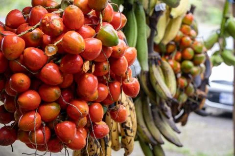 Typical caribbean fruit Stock Photos