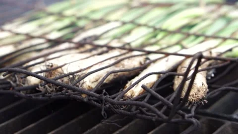 Typical Catalan Receipt Calots Onions burning on a self-made barbeque Stock Footage 139340471