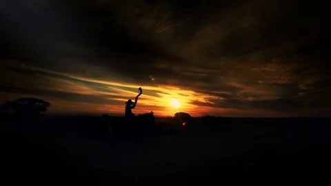 Typical Cawboy Brazilian Stock Footage 74768680