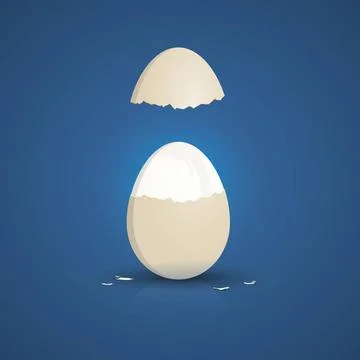 Typical cooked white egg An illustration of a typical cooked white egg Cop... Foto stock