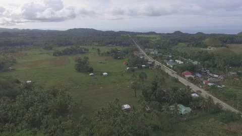 Typical countryside with palms and fields in Philippines. Bohol island Stock Footage 94535920
