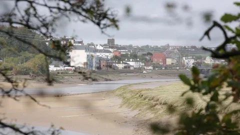 Typical Devon (Devonshire) England Stock Footage 80826691