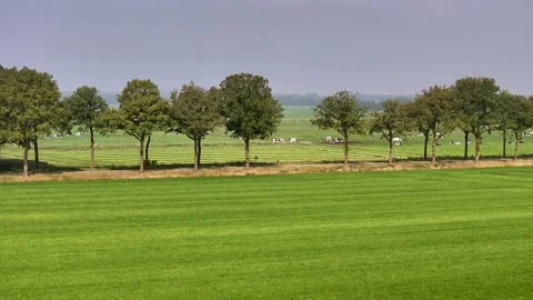 Typical Dutch landscape with a field of grass, a provincial road with trees and Video stock 286118269