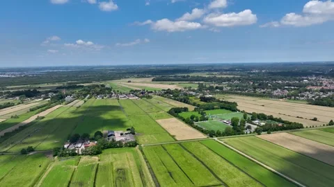 Typical Dutch landscape Video stock 279771775