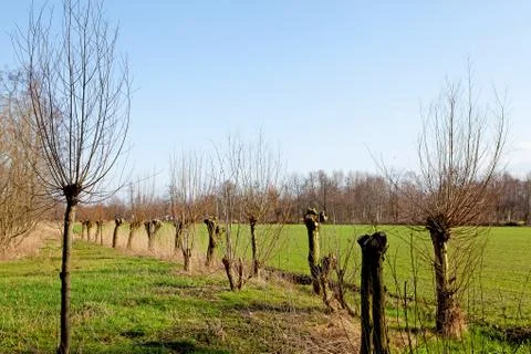 Typical dutch landscape Stock Photos