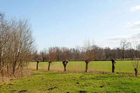 Typical dutch landscape Stock Photos