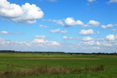 Typical dutch landscape Stock Photos