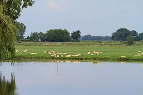 Typical dutch landscape Stock Photos