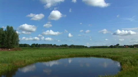 Typical Dutch Pasture Video stock 522868