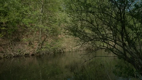 Typical dutch waterscape in 4K. 動画素材 129073619