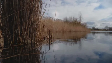 Typical dutch waterscape in 4K. Stock Footage 129230405