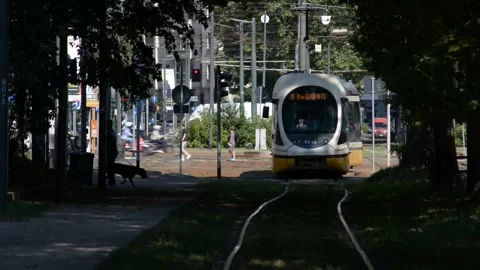 Typical electric tram in Milan Stock Footage 137153314