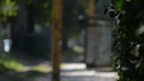 Typical electric tram in Milan Stock Footage 137154138