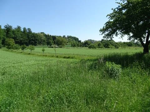 Typical field of fruit trees and vegetables spotted in Germany Stock Photos