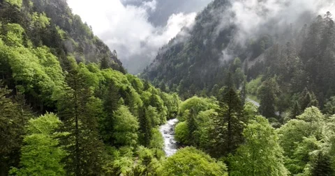 Typical fresh mountain landscape with a cascading waterfall running through. Stock Footage 244458625