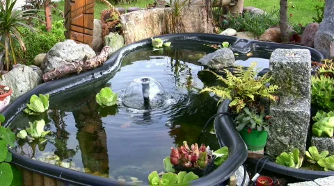 Typical german garden pond Stock Footage 273262