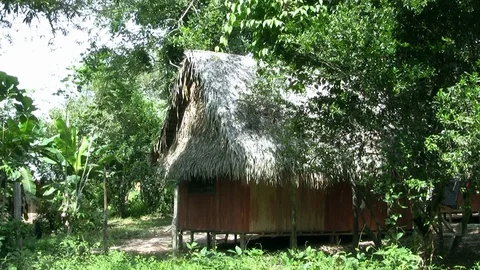 Typical habitation in the Amazonian Rainforest Stock Footage 88523076
