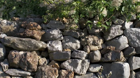 Typical handmade wall with stone in carso karst trieste italy 스톡 동영상 233887854