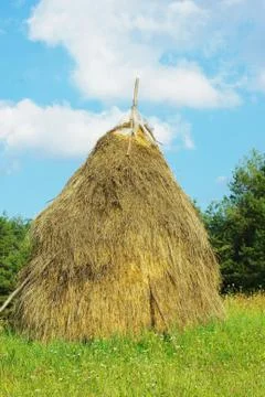 Typical hay mow 写真素材