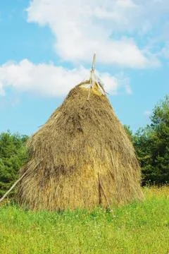 Typical hay mow 写真素材