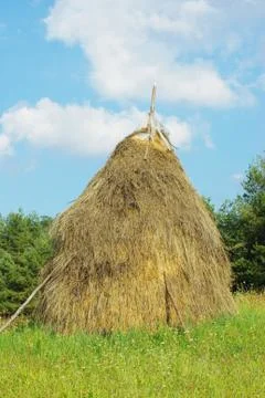 Typical hay mow Fotos Stock